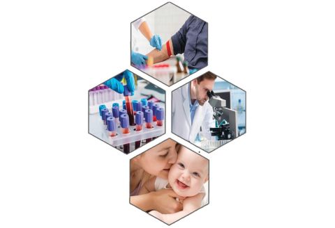 genie diagnostic test lab